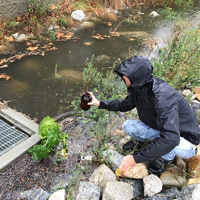 Student sampling stormwater runoff near storm drain